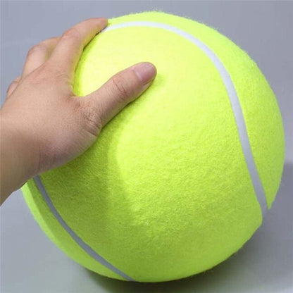 Nagyméretű tenisz labda kutyák részére